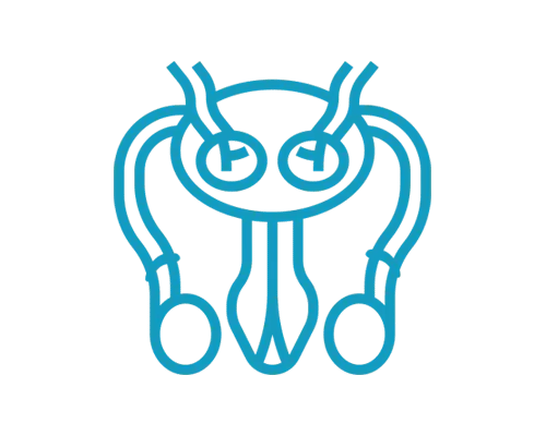 Vasectomia Urologo Alejandro Figueroa