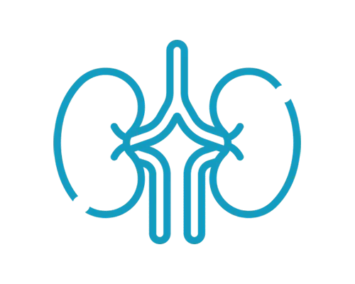 Nefrolitotomia Percutanea Urologo Alejandro Figueroa